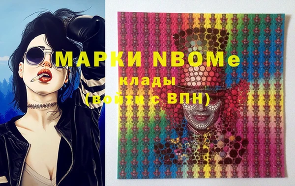 mdpv Снежинск